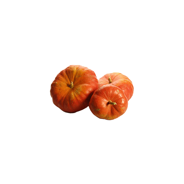 Huile de pépins de Courge en capsules (Cucurbita pepo)
