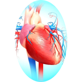 Cardiocool mélange en poudre Régénération