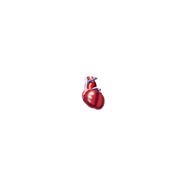 Tensio+ mélange d'Algues et huile de Poissons pour le Coeur