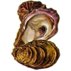 Poudre de coquille d'Huître en gélules