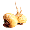 Maca Bio en gélules (Lepidium meyenii*)
