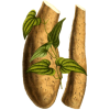 YAM Wild-Yam (Igname) extrait en gélules (Dioscorea villosa)
