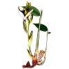 Huile essentielle de Cardamome bio (Elettaria cardamomum)