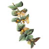 Huile essentielle Eucalyptus Citronné bio (Eucalyptus citriodora Hook)