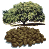 Huile végétale Argan Maroc Vierge Bio - ABC de la Nature : cosmétique bio