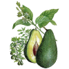 Huile végétale Vierge d'Avocat Bio*