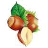 Huile végétale Vierge de Noisette Bio*