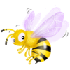 Spray à la propolis bio aux huiles essentielles