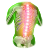 Rhumatismal HQ mélange en massage huiles essentielles bio