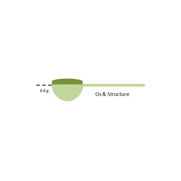 Os & Structure mélange en poudre Régénération