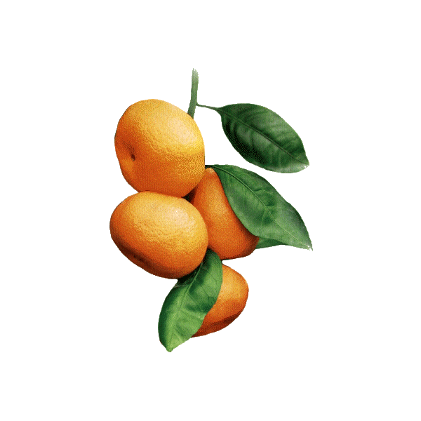 Huile essentielle Mandarine Rouge bio (Citrus reticulata Blanco)