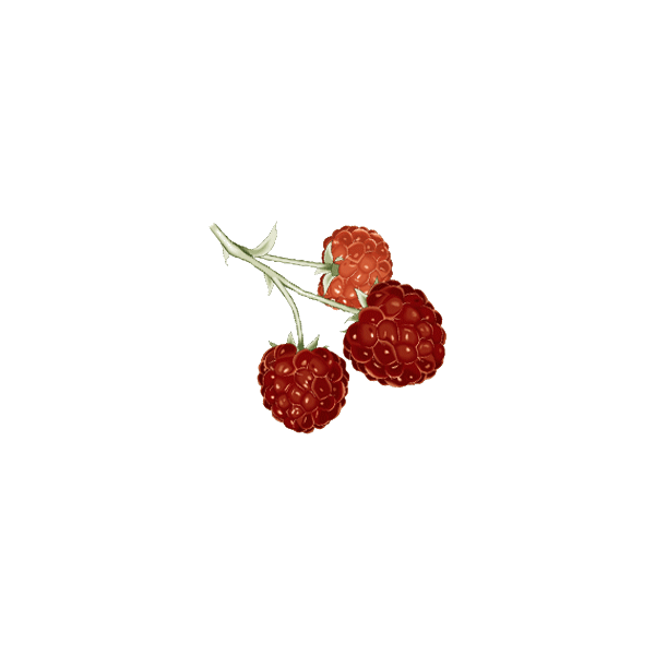 Cétones de Framboise en gélules