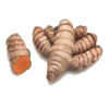 Huile essentielle de Curcuma Bio (Curcuma longa)