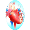 Cardiocool mélange en gélules Régénération