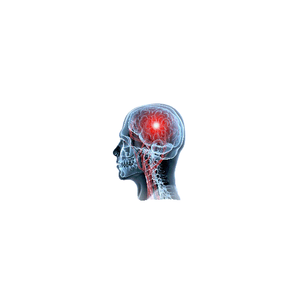Cerveau & Système nerveux mélange en gélules Régénération