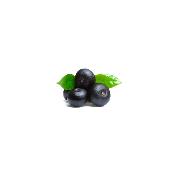 Açaie Bio en gélules (Euterpe oleracea)