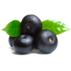 Açaie Bio en gélules (Euterpe oleracea)