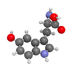 L-Tryptophane en gélules, précurseur naturel du sommeil