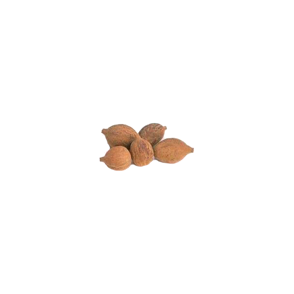 Triphala Bio en gélules, médecine ayurvédique
