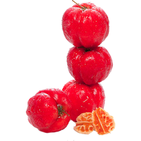 Acérola extrait de fruits BIO en gélules (Immunité)