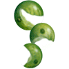 Chlorella en comprimés 505 mg.  (Chlorella pyrenoidosa) 