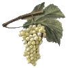 Marc de Raisin BIO en gélules (Vitis vinifera)