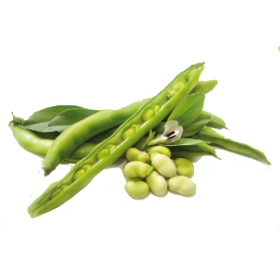 Guar gomme en poudre (Cure minceur et Cholestérol)