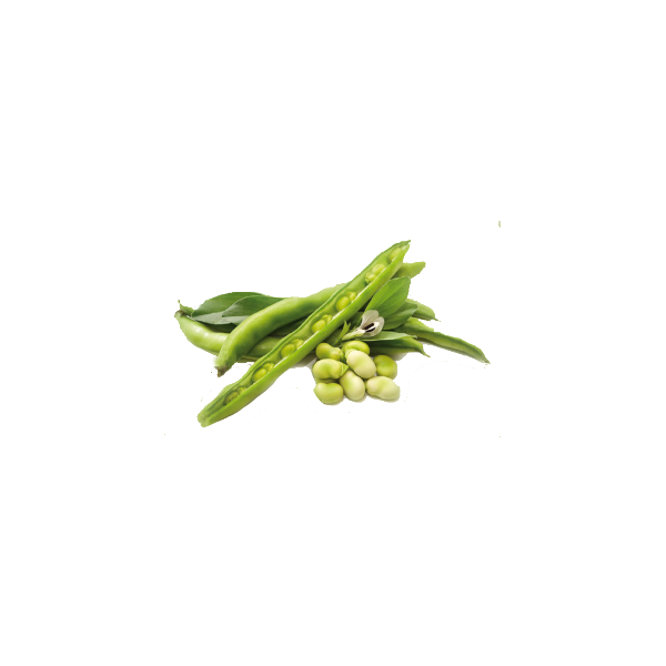 Guar gomme en poudre (Cure minceur et Cholestérol)