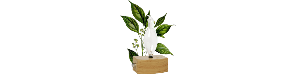 Mélanges purs à base d'huiles essentielles bio - ABC de la Nature